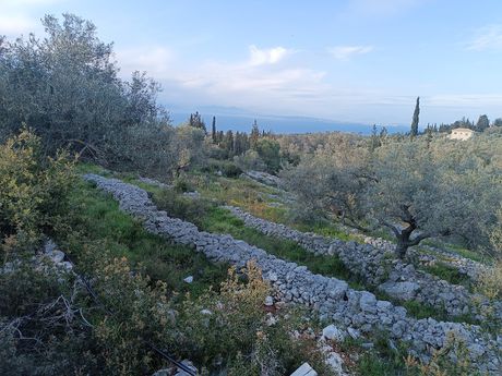 Parcel 4.020sqm for sale-Lefkada » Main Town Area