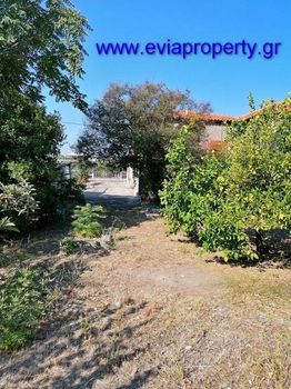Detached home 105sqm for sale-Limni » Rovies