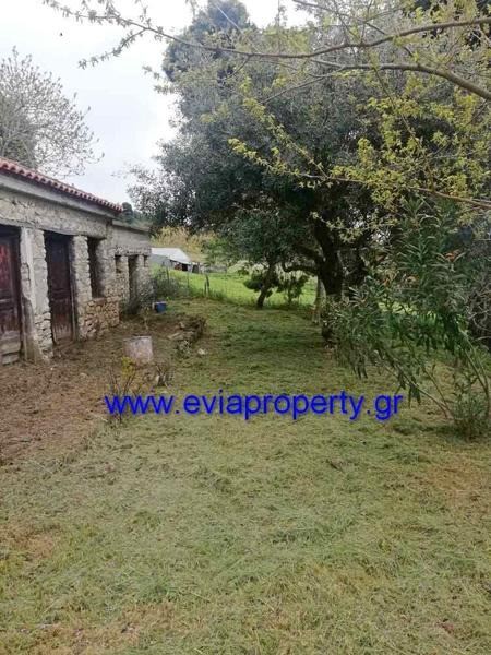 Μονοκατοικία 64 τ.μ. προς πώληση, Δαμιά