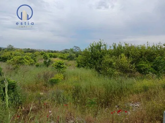 Land plot 5.500 sqm for sale, Achaia, Aigio