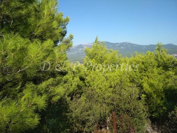 Land plot 840 sqm for sale, Athens - North, Ekali