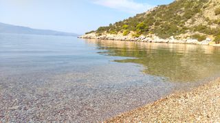 Οικόπεδο 23.500 τ.μ. για πώληση, Βοιωτία, Θίσβη-thumb-1