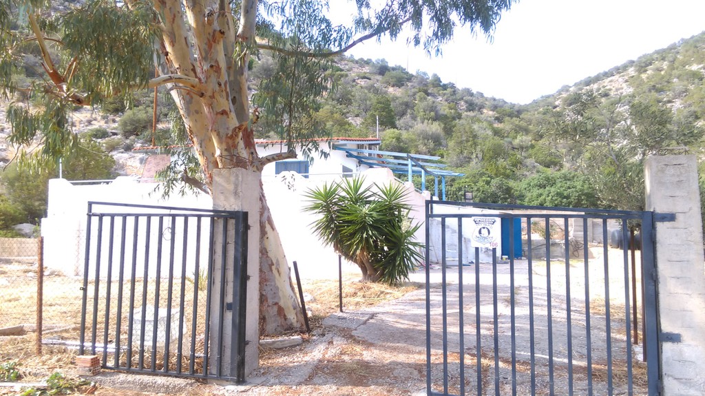 Οικόπεδο 23.500 τ.μ. προς πώληση, Αλυκή Θίσβης