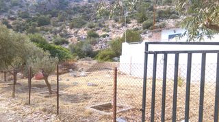 Οικόπεδο 23.500 τ.μ. για πώληση, Βοιωτία, Θίσβη-thumb-4