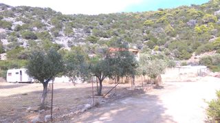 Οικόπεδο 23.500 τ.μ. για πώληση, Βοιωτία, Θίσβη-thumb-5