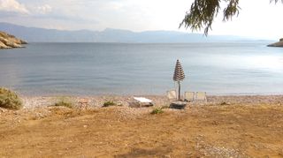 Οικόπεδο 23.500 τ.μ. για πώληση, Βοιωτία, Θίσβη-thumb-6