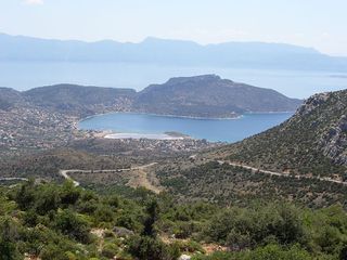 Οικόπεδο 23.500 τ.μ. για πώληση, Βοιωτία, Θίσβη-thumb-8