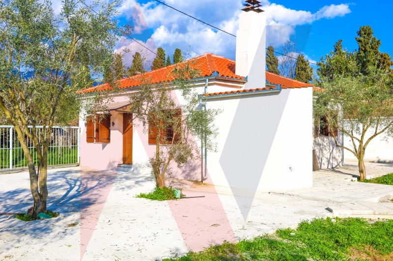 Μονοκατοικία 88 τ.μ. πρός πώληση, Μαγνησία, Αρτέμιδα