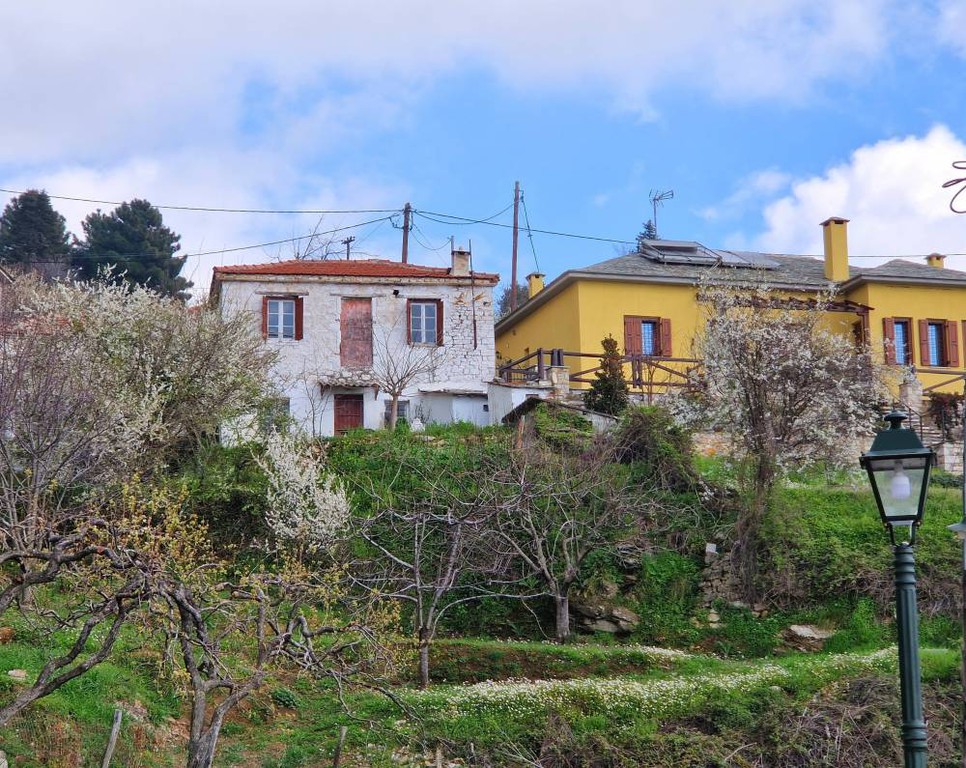 Μονοκατοικία 160 τ.μ. πρός πώληση, Μαγνησία, Μηλιές