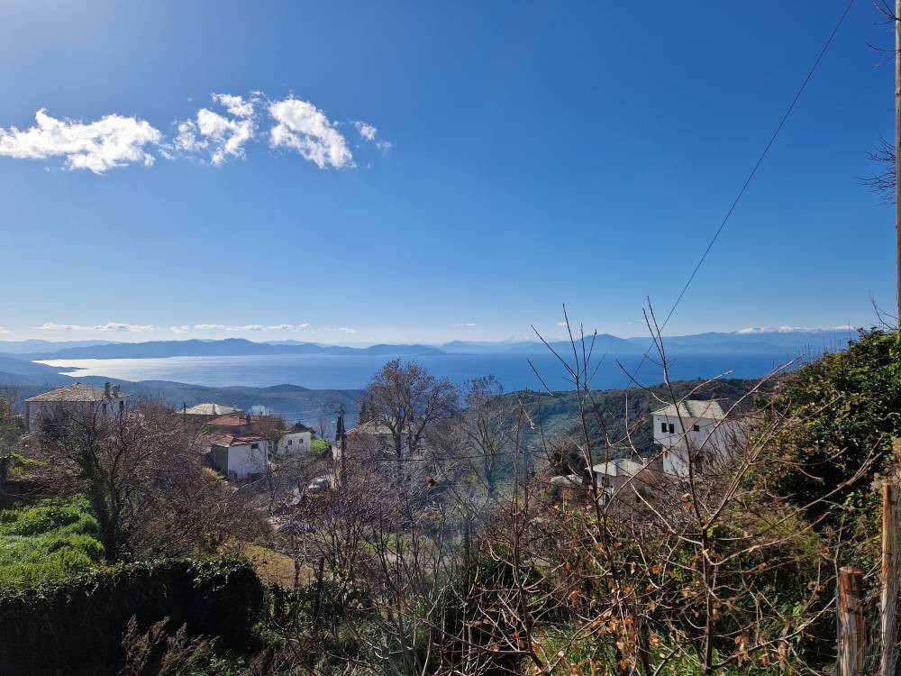 Μονοκατοικία 160 τ.μ. πρός πώληση, Μαγνησία, Μηλιές