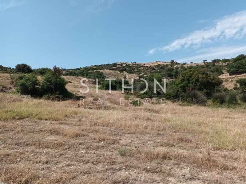 Οικόπεδο 500 τ.μ. προς πώληση, Σκάλα Συκέας