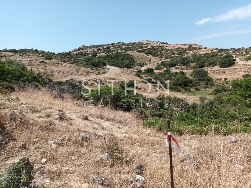 Οικόπεδο 500 τ.μ. προς πώληση, Σκάλα Συκέας