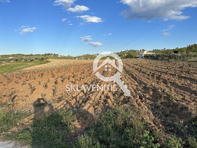 Αγροτεμάχια 30.000 τ.μ. πρός πώληση, Αθήνα - Ανατολικά Προάστια, Σπάτα