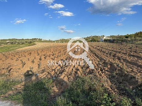 Αγροτεμάχια 30.000τ.μ. για πώληση-Σπάτα » Κέντρο
