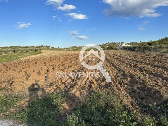 Parcel 30.000 sqm for sale, Athens - East, Spata