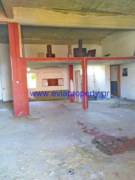 Διαμέρισμα 275 τ.μ. προς πώληση, Ροβιές