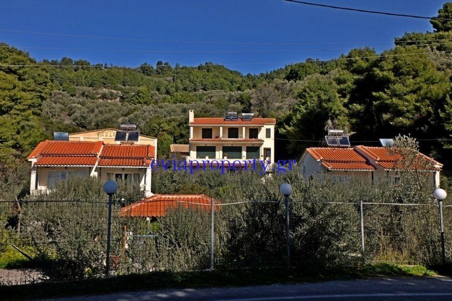 Ξενοδοχείο 580 τ.μ. προς πώληση, Σηπιάδα Λίμνης