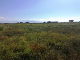 Αγροτεμάχια 29.087 τ.μ. για πώληση, Ν. Λάρισας, Αρμένιο-thumb-4