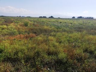 Αγροτεμάχια 29.087 τ.μ. για πώληση, Ν. Λάρισας, Αρμένιο-thumb-9