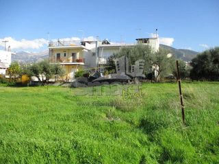 Οικόπεδο 470 τ.μ. για πώληση, Αχαΐα, Μεσσατίδα-thumb-6