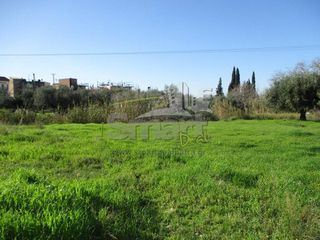 Οικόπεδο 470 τ.μ. για πώληση, Αχαΐα, Μεσσατίδα-thumb-2