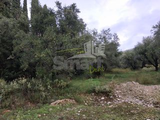 Αγροτεμάχια 2.010 τ.μ. προς πώληση, Γηροκομείο Πάτρας-thumb-25