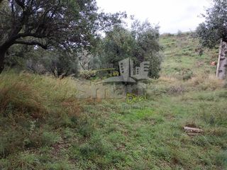 Αγροτεμάχια 2.010 τ.μ. προς πώληση, Γηροκομείο Πάτρας-thumb-12