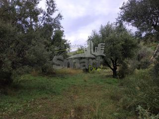 Αγροτεμάχια 2.010 τ.μ. προς πώληση, Γηροκομείο Πάτρας-thumb-21