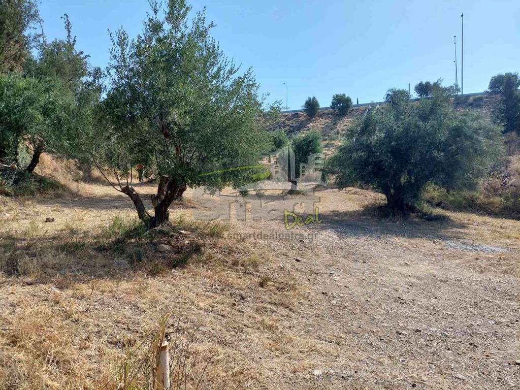 Αγροτεμάχια 2.010 τ.μ. προς πώληση, Γηροκομείο Πάτρας