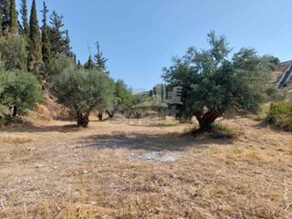 Αγροτεμάχια 2.010 τ.μ. προς πώληση, Γηροκομείο Πάτρας-thumb-2