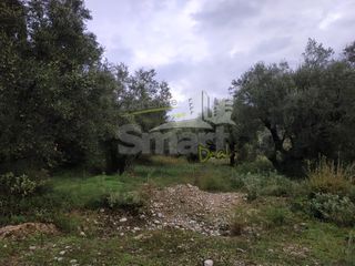 Αγροτεμάχια 2.010 τ.μ. προς πώληση, Γηροκομείο Πάτρας-thumb-15