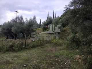 Αγροτεμάχια 2.010 τ.μ. προς πώληση, Γηροκομείο Πάτρας-thumb-9