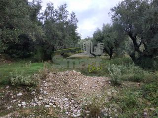 Αγροτεμάχια 2.010 τ.μ. προς πώληση, Γηροκομείο Πάτρας-thumb-24