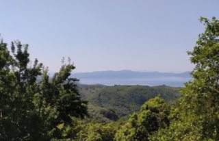 Οικόπεδο 4.380 τ.μ. για πώληση