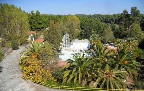Ξενοδοχείο 33.000τ.μ. για πώληση-Κασσάνδρα » Ελάνη
