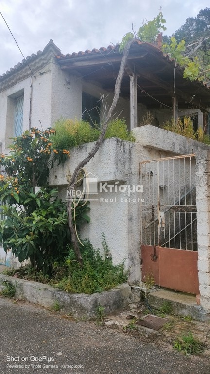 Διαμέρισμα 79 τ.μ. πρός πώληση, Μεσσηνία, Κυπαρισσία
