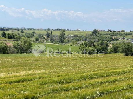 Αγροτεμάχια 6.500 τ.μ. για πώληση