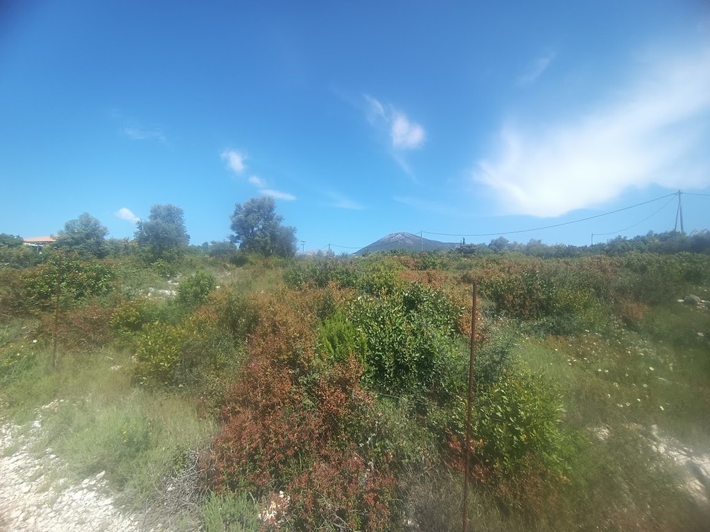 Αγροτεμάχια 4.124 τ.μ. πρός πώληση, Ν. Λευκάδας, Λευκάδα