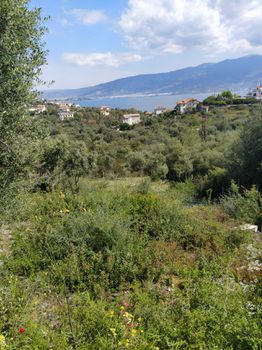 Οικόπεδο 600 τ.μ. για πώληση