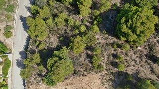 Οικόπεδο 403 τ.μ. για πώληση, Αργολίδα, Κρανίδι-thumb-15
