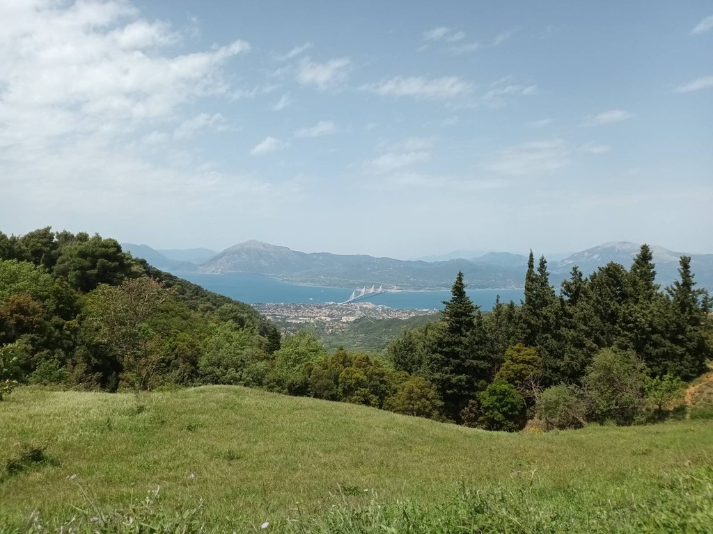 Αγροτεμάχια 2.936 τ.μ. πρός πώληση, Αχαΐα, Ρίο