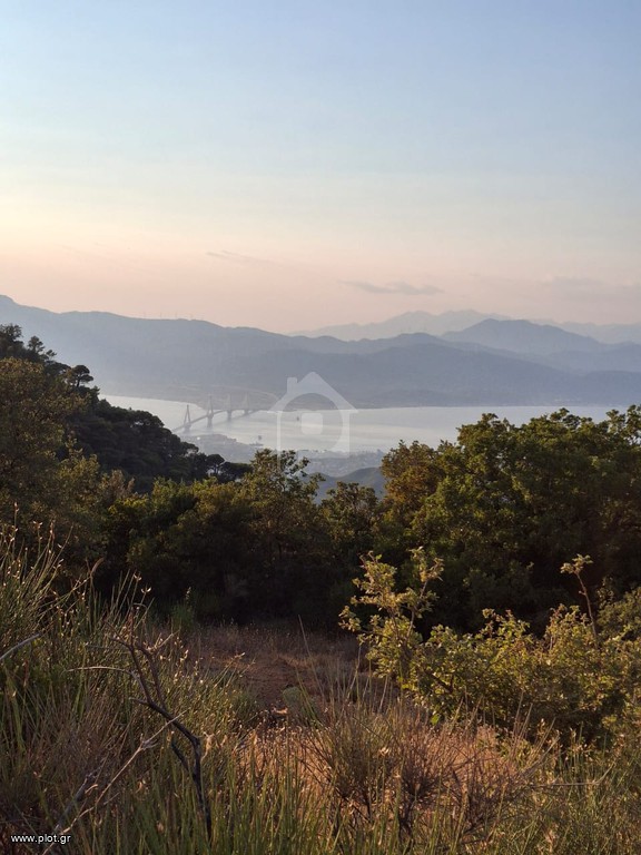 Αγροτεμάχια 2.936 τ.μ. πρός πώληση, Αχαΐα, Ρίο