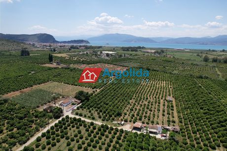 Αγροτεμάχια 4.500τ.μ. για πώληση-Νέα τίρυνθα » Τίρυνθα