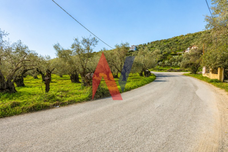 Αγροτεμάχια 3.129 τ.μ. πρός πώληση, Μαγνησία, Αφέτες
