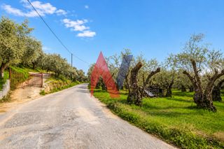 Αγροτεμάχια 3.129 τ.μ. προς πώληση, Άφυσσος-thumb-4