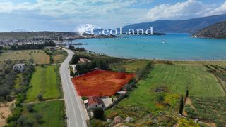 Αγροτεμάχια 4.505 τ.μ. για πώληση, Αργολίδα, Κρανίδι-thumb-4