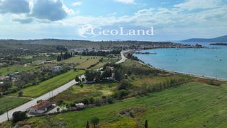 Αγροτεμάχια 4.505 τ.μ. για πώληση, Αργολίδα, Κρανίδι-thumb-8