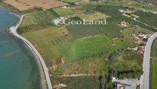 Αγροτεμάχια 4.505 τ.μ. για πώληση, Αργολίδα, Κρανίδι-thumb-7