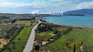 Αγροτεμάχια 4.505 τ.μ. για πώληση, Αργολίδα, Κρανίδι-thumb-23