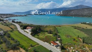 Αγροτεμάχια 4.505 τ.μ. για πώληση, Αργολίδα, Κρανίδι-thumb-9